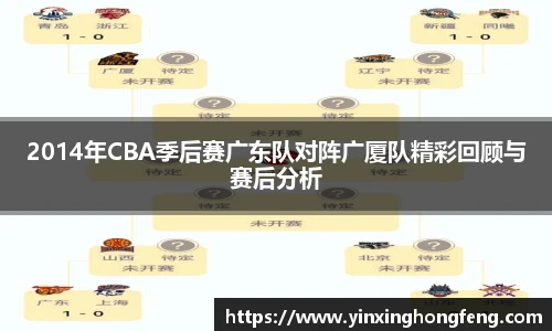 VSport2014年CBA季后赛广东队对阵广厦队精彩回顾与赛后分析