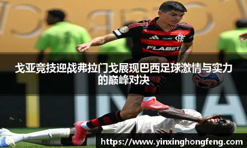 VSport戈亚竞技迎战弗拉门戈展现巴西足球激情与实力的巅峰对决