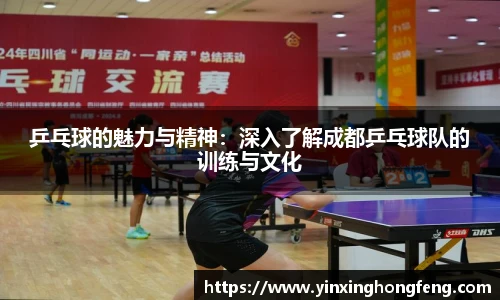 乒乓球的魅力与精神：深入了解成都乒乓球队的训练与文化