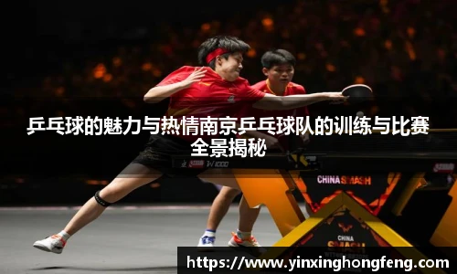 乒乓球的魅力与热情南京乒乓球队的训练与比赛全景揭秘